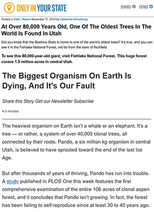 screenshot showing misinformation about Pando in news media