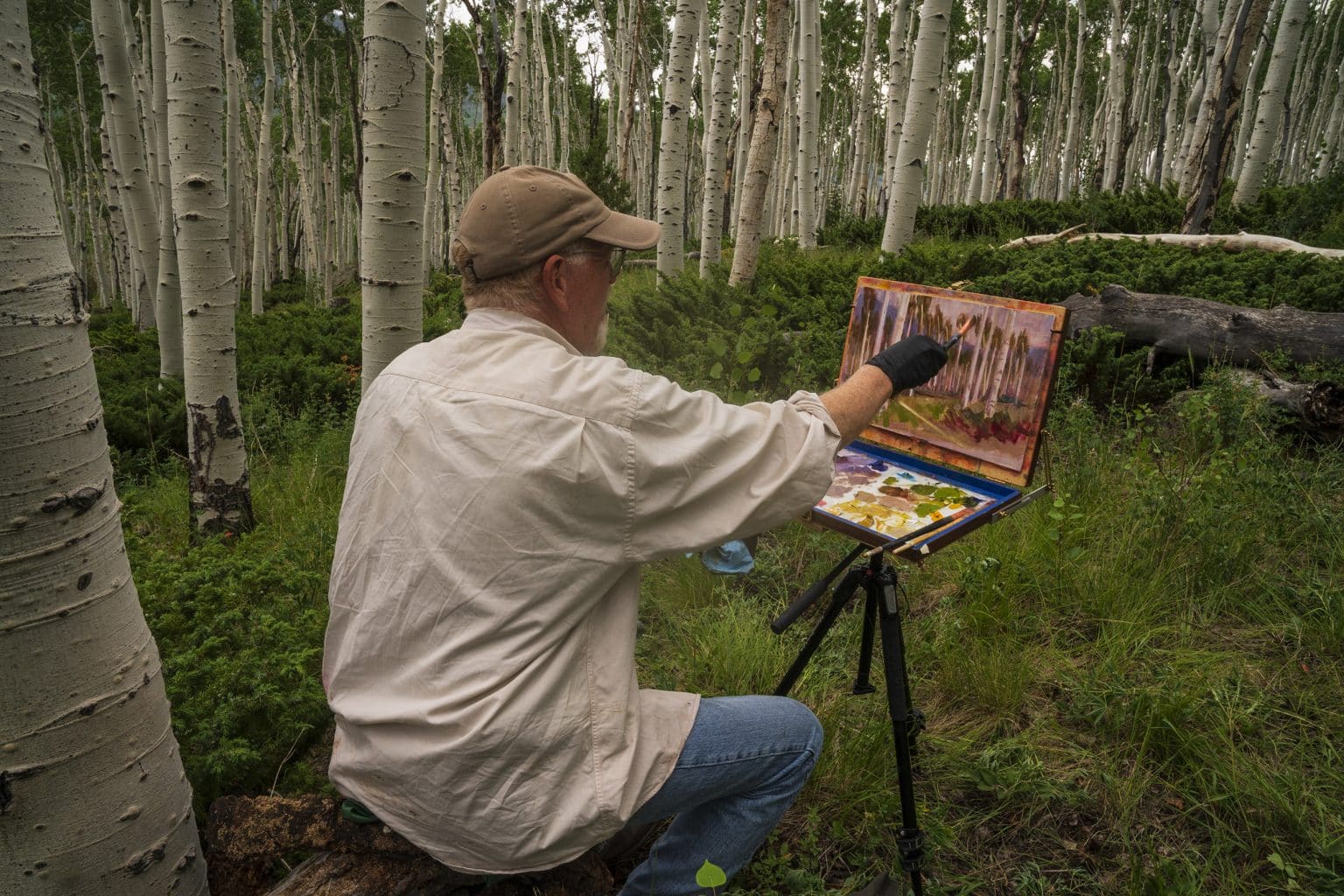 artist painting in the pando tree