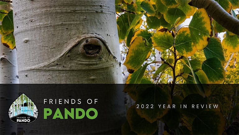 friends of pando end of year review 2022