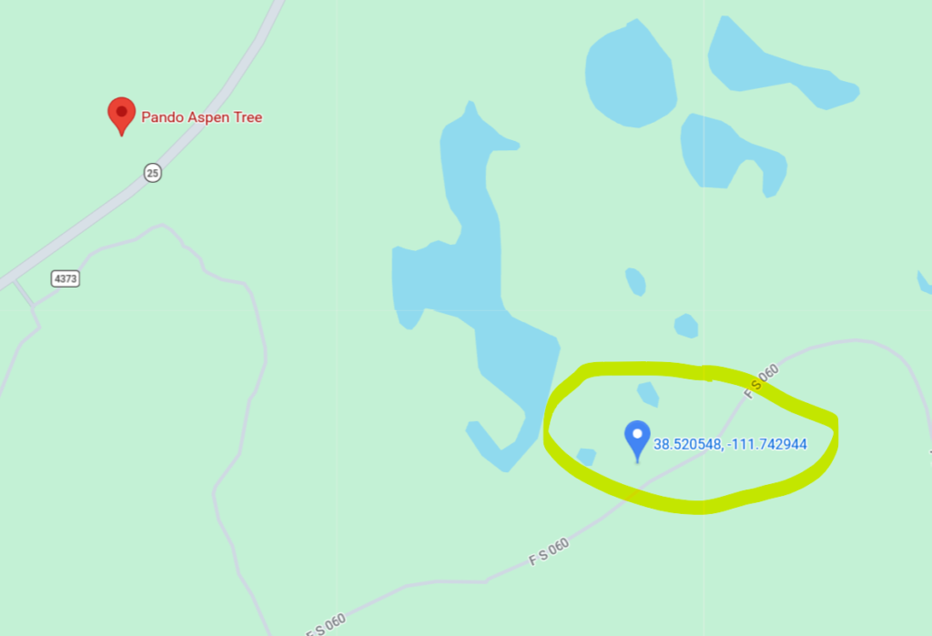 pando outline map point