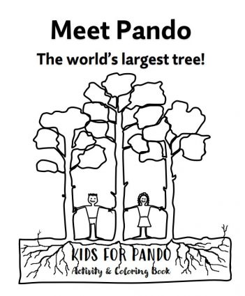 Meet Pando, the world's largest tree
