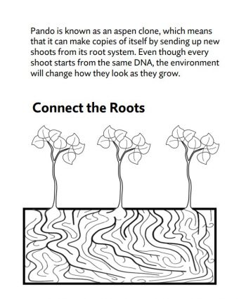 Coloring book connect the roots page