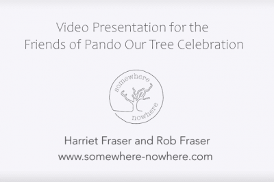 image for Somewhere-nowhere video for Our Tree Celebration